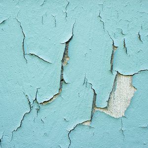 Lead Paint Test