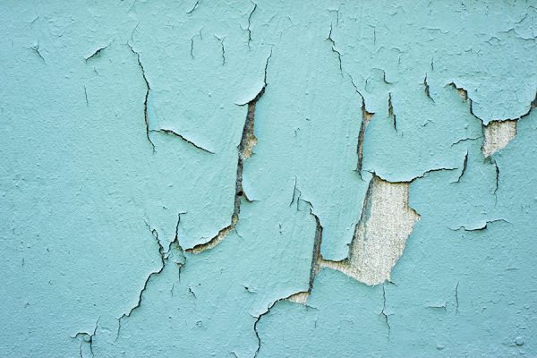 Lead Paint Test
